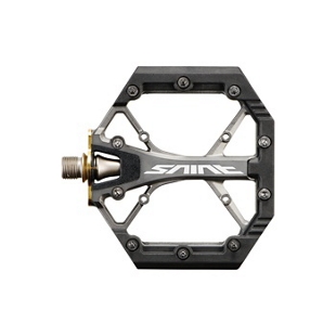 PD-G8040-shic6-