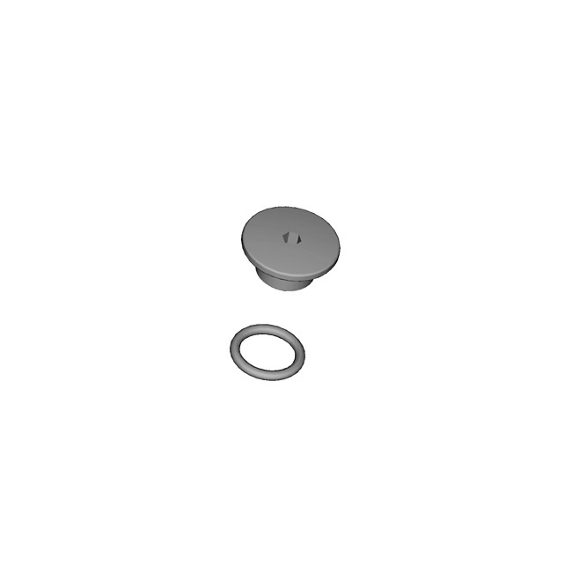Vite di spurgo e O-ring ST-R9120